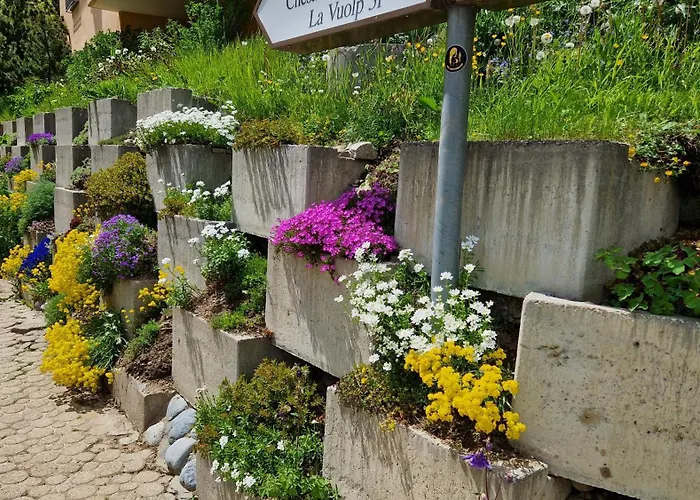 Chesa Bellaval, Haus Leivra 6½-zimmerwohnung Appartement Silvaplana